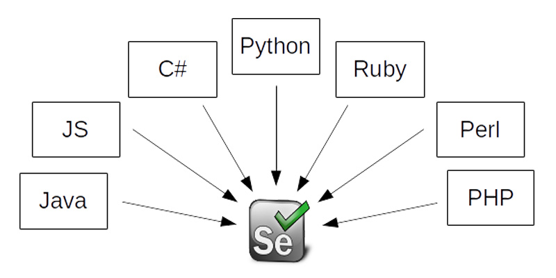 Languages supported by Selenium