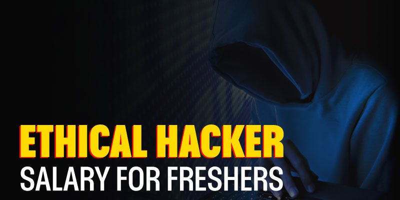 Ethical Hacker Salary for Freshers