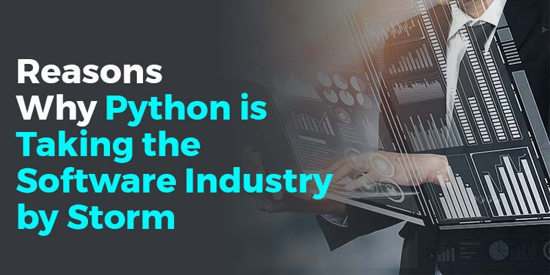 Reasons Why Python is Taking the Software Industry by Storm