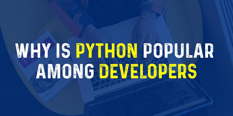 Why Is Python Popular Among Developers
